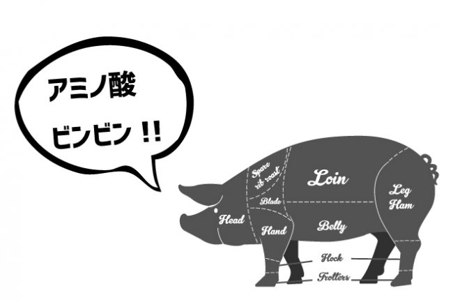 アミノ酸が多い豚