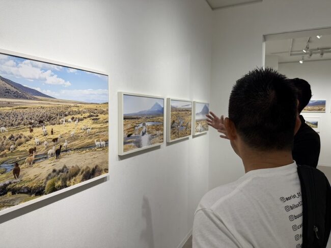 岡田裕介-新作写真展