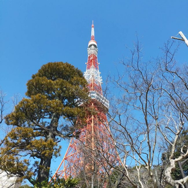 東京タワーとうふ屋うかい